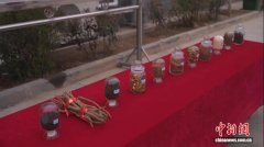 （乡村行·看振兴）黄芩深加工破局 山西万荣药农吃上“产业饭”