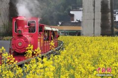 江西婺源：复古小火车穿行古村花海